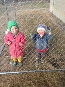 Uh Jules, this is not great, it's a cage!