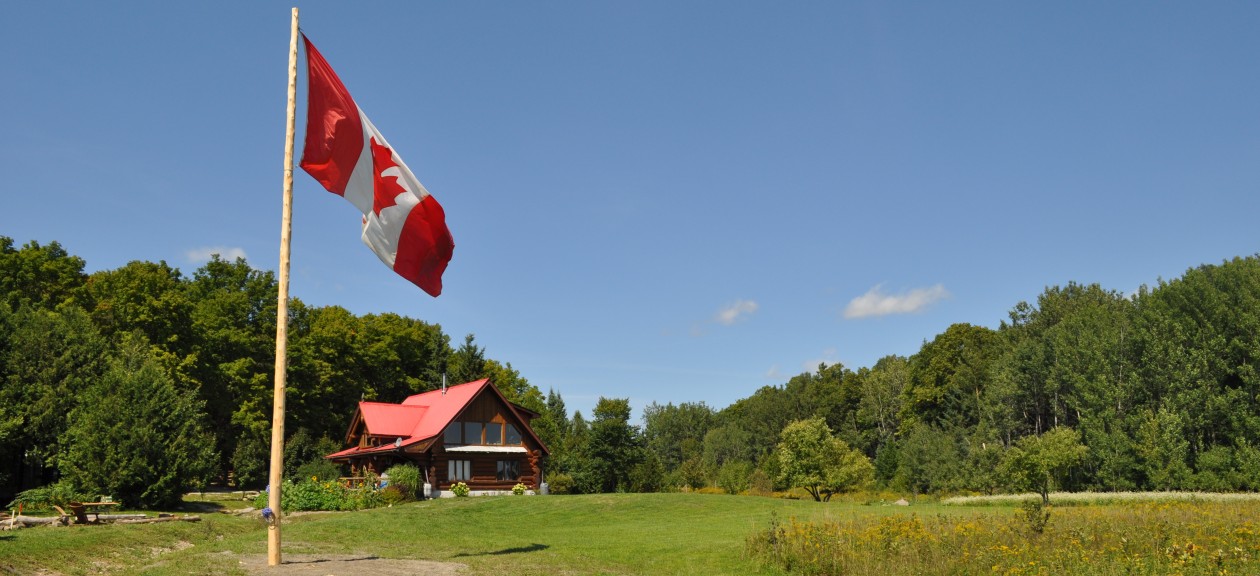 A Bit About the Henrys