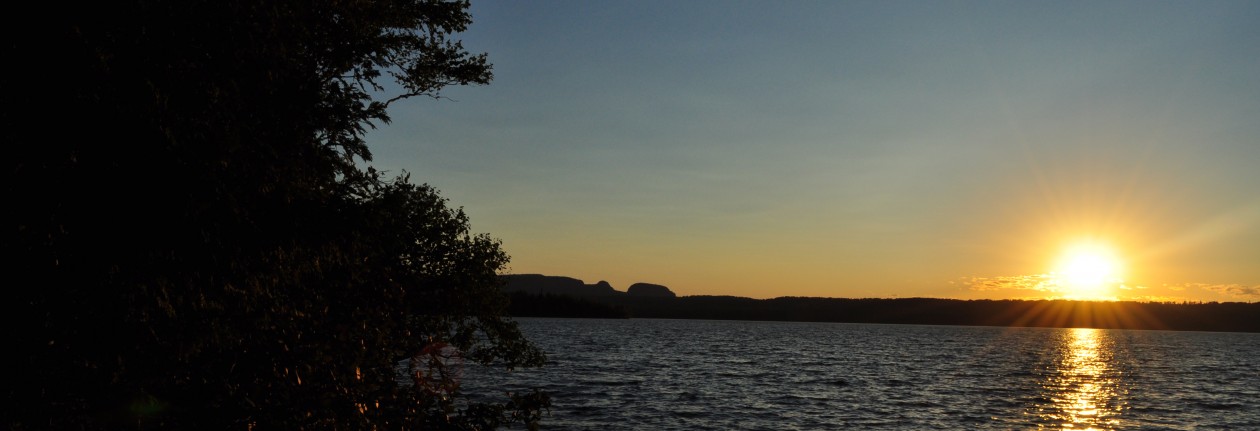 A Bit About the Henrys