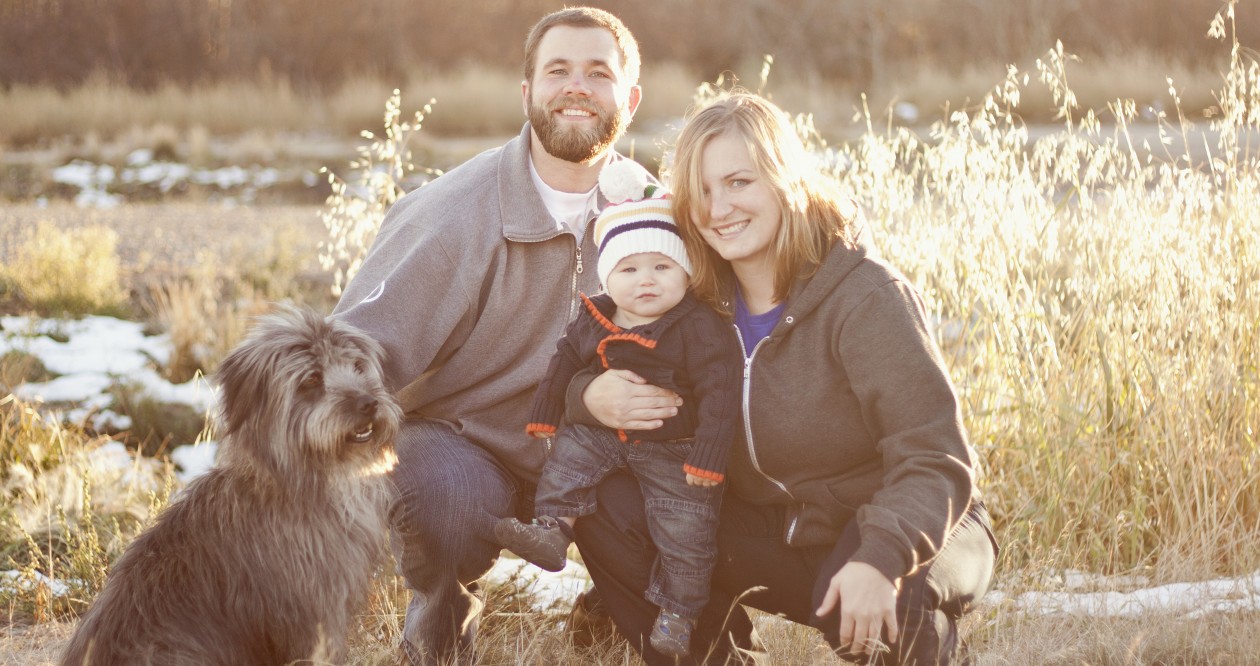 A Bit About the Henrys