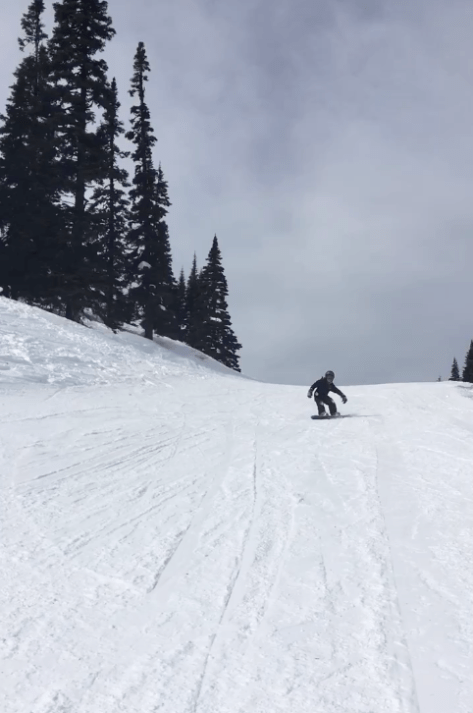 Screen Shot 2020-03-27 at 8.22.18 AM